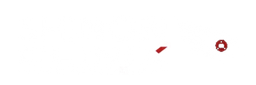 Shinobi Clinix